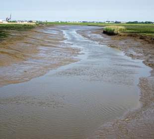 Ebbe und Flut bestimmen die Luneplate