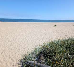 Strand Scharendijke