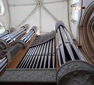 Die Haupt- Orgel des Domes