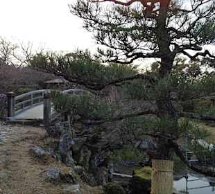 Hikone castle and surrounding garden