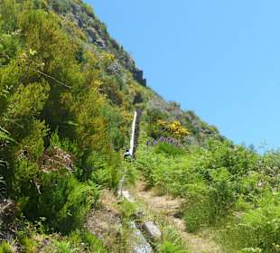 Am Südrand der Hochebene, Levada da Bica da Cana