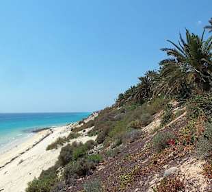 Kontraste - grüner Hang - weißer Strand - Atlantik