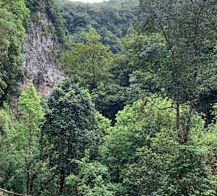 Inselrundfahrt La Palma