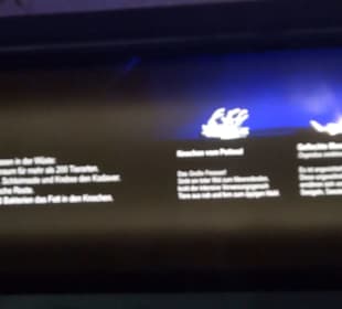 Meeresmuseum Stralsund