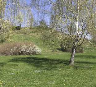 Sport- und Freizeitpark Markwasen