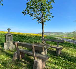 Wandern Hohen Bogen Neukirchen