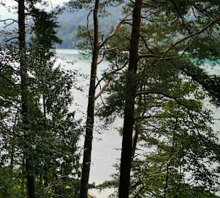 Fuschlsee