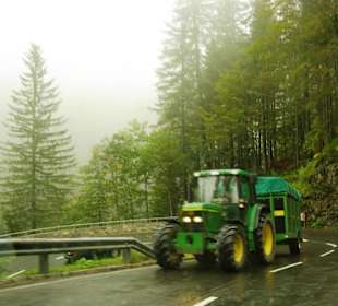 Viehtransport werden abgeholt