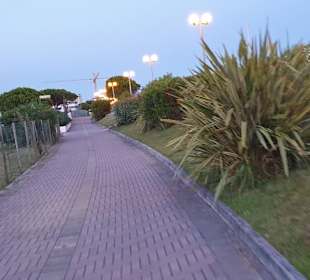 Saubere tolle Radwege ohne Hindernisse 