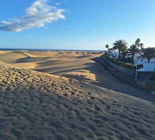 Dünen von Maspalomas