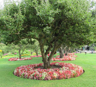 Im Butchart Garden unterwegs