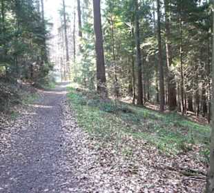 Wanderung Florianrunde