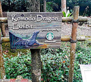 Singapur Zoo