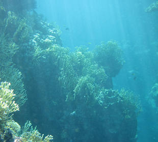 Schnorcheln Marsa Alam
