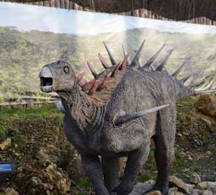 Bałtów - atrakcje turystyczne