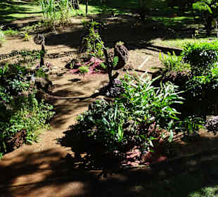 Spaziergang durch den Jardin de l'État