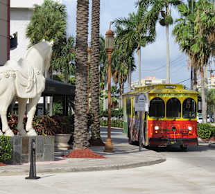 Rot-Gelb kaum zu übersehen