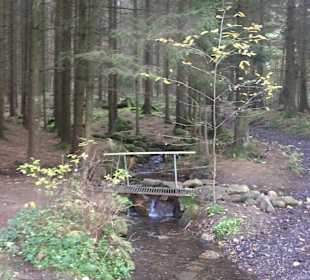 Wandern Hohenwarth