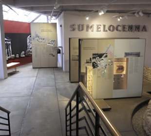 Sumelocenna-Museum