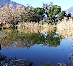 Parkanlage im Dorf Tirol 