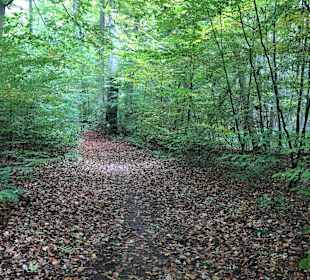 Wandern Templin