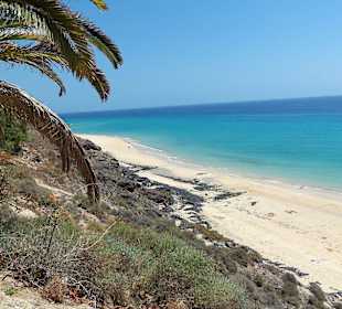 Kontraste - grüner Hang - weißer Strand - Atlantik