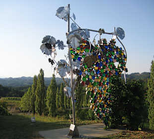 Grösste Weintraube der Welt