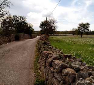 Rad-Wanderweg Ruta 3 Santañí / Santany