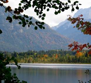 Der Barmsee im Herbst
