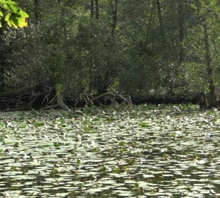 Schaichtalweg - Schlüsselsee