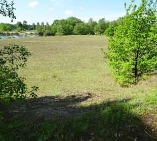 Spaziergang durch den Sandtrockenrasen Achim