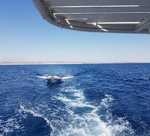 Blick vom Boot aus