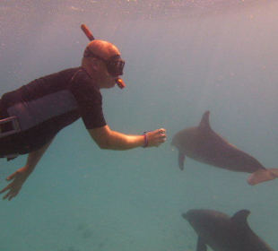 Delfintour - Hurghada