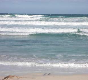 Ausflug nach Cala Agulla