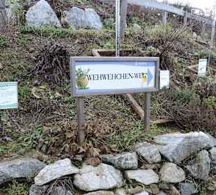 Kittenberger Erlebnisgarten