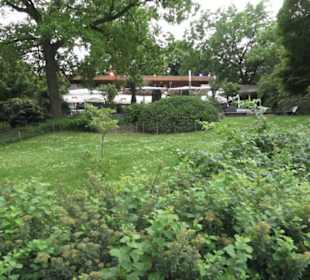 Wallgraben - Alter Botanischer Garten