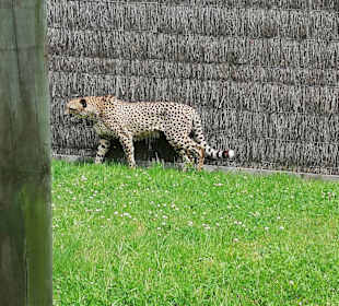 Zoo WellingtonZoo Wellington