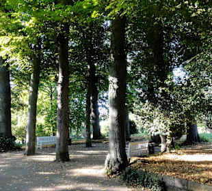 Spaziergang durch Knoops Park