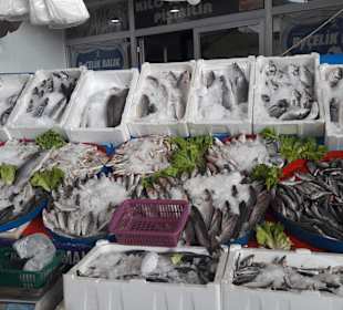 Einkaufen & Shopping