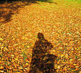 Парк Замка Ойтин.Золотая осень.