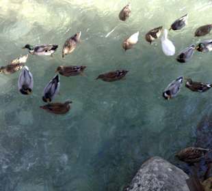 Unterhalb vom Tahtali eine Restaurant mit Fischessen