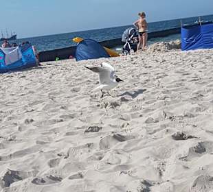 Strand Stolpmünde/Ustka
