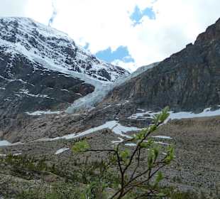 Angel Glacier
