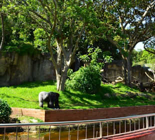 Taronga Zoo