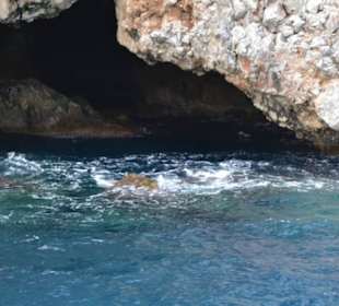 Höhle wasserseitig