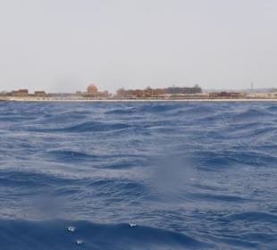 Sicht aus dem Wasser an Land