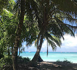Isla Saona