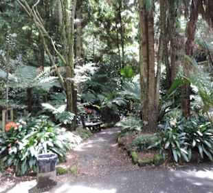 Eden Garden ein Paradies mitten in der Stadt