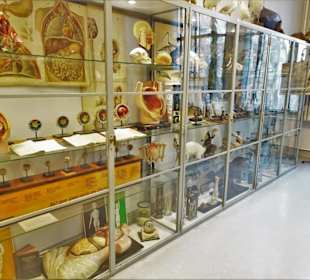 Rundgang durch das Hamburger Schulmuseum