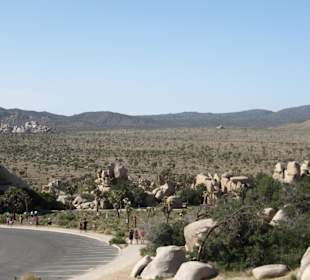 Joshua Tree National Park